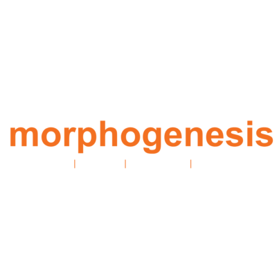 MorphoGenesis